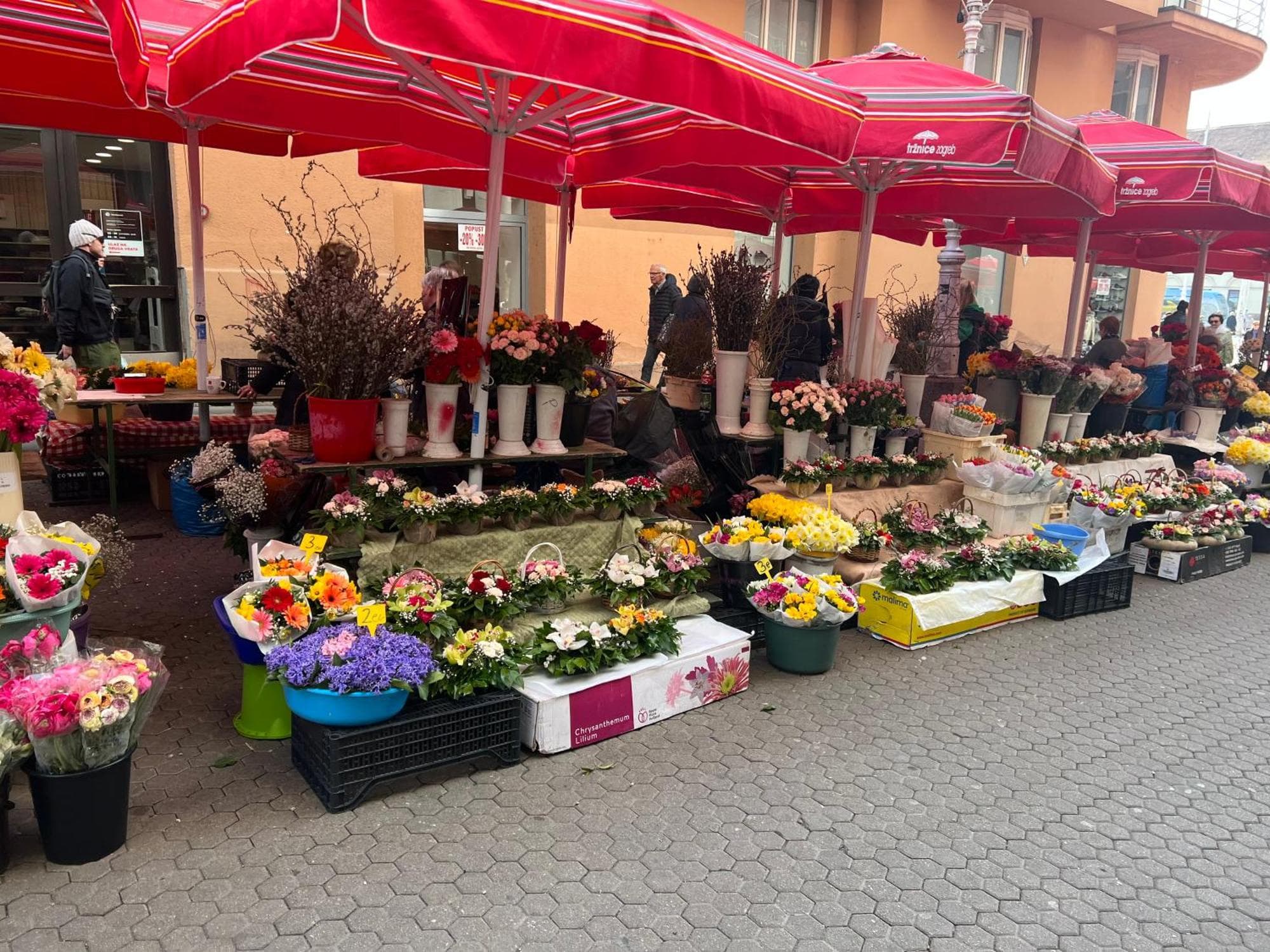 Studio apartman Luka