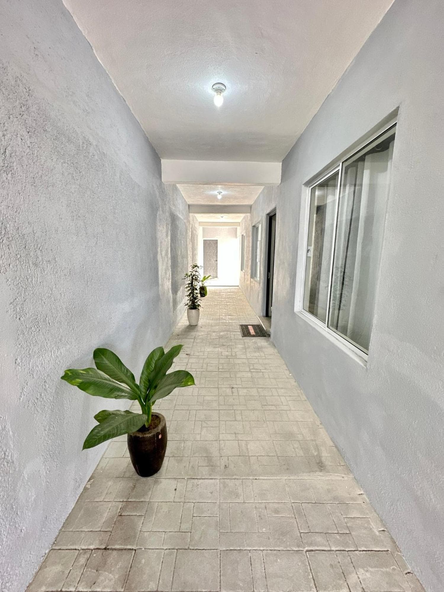 Departamentos Mayai & Yahelik