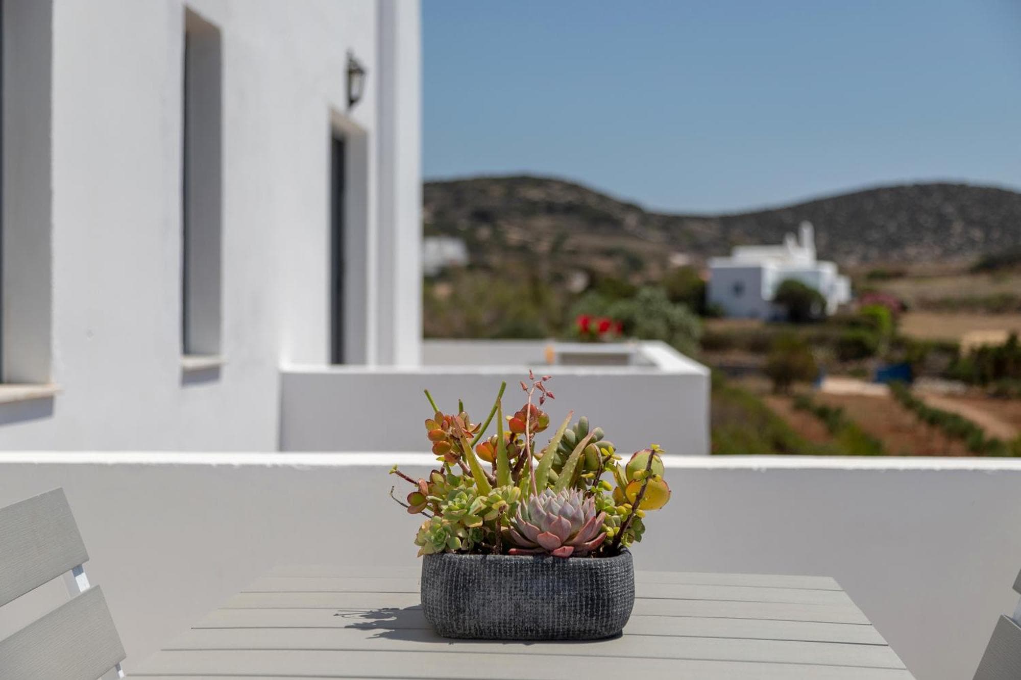 Chrysonisos Suites with Sunset & Seaviews near Kini
