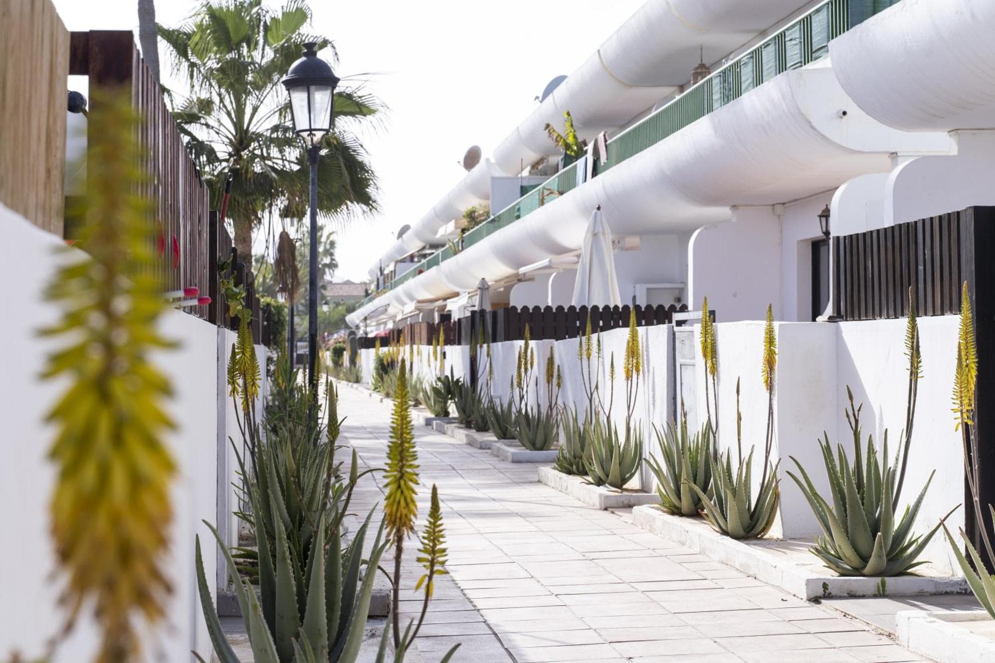 Piso Dunas Blu - Carpe Mundi, 