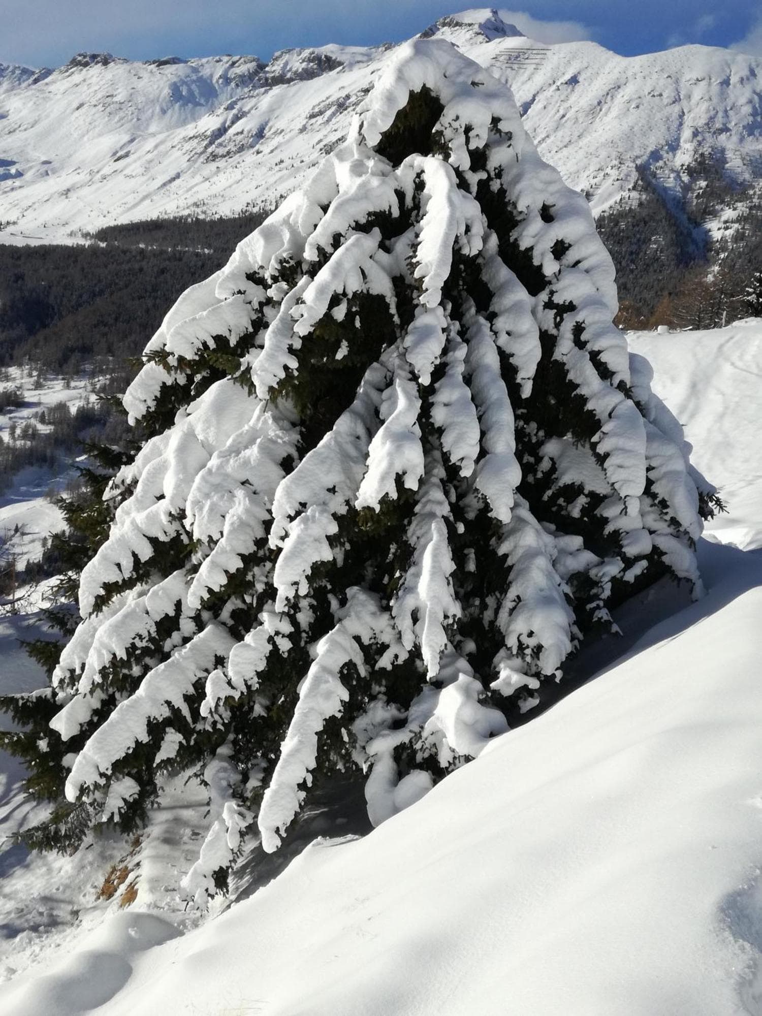 Rifugio Vieux Crest