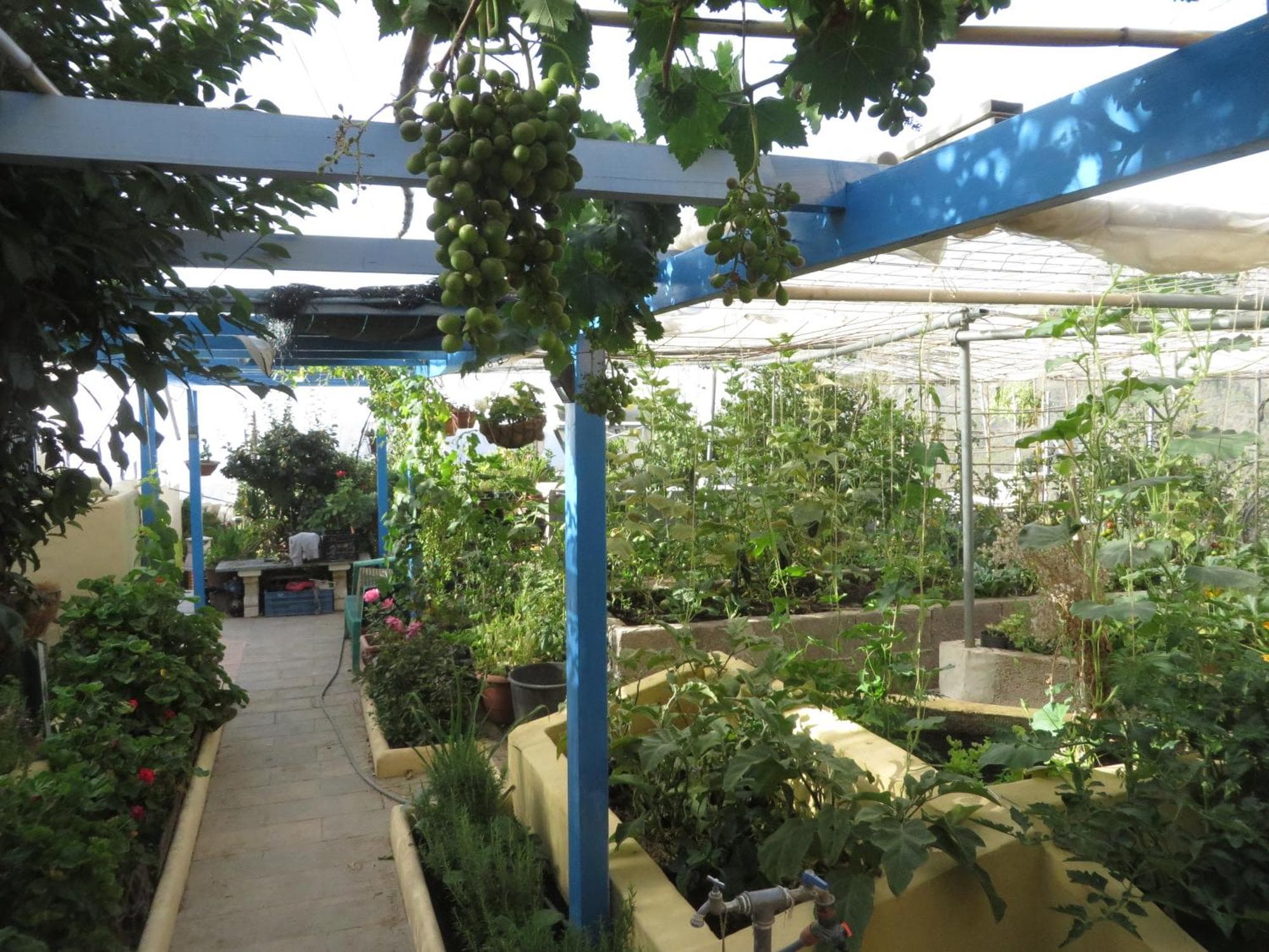 Finca Cortez Apartment 4, 