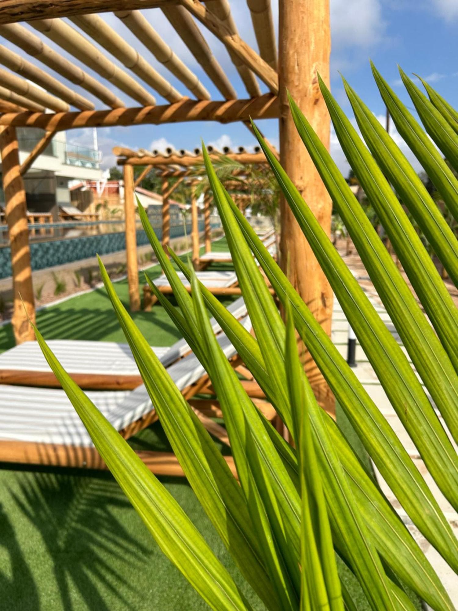 Exotic Sea Boutique Adults Only, 