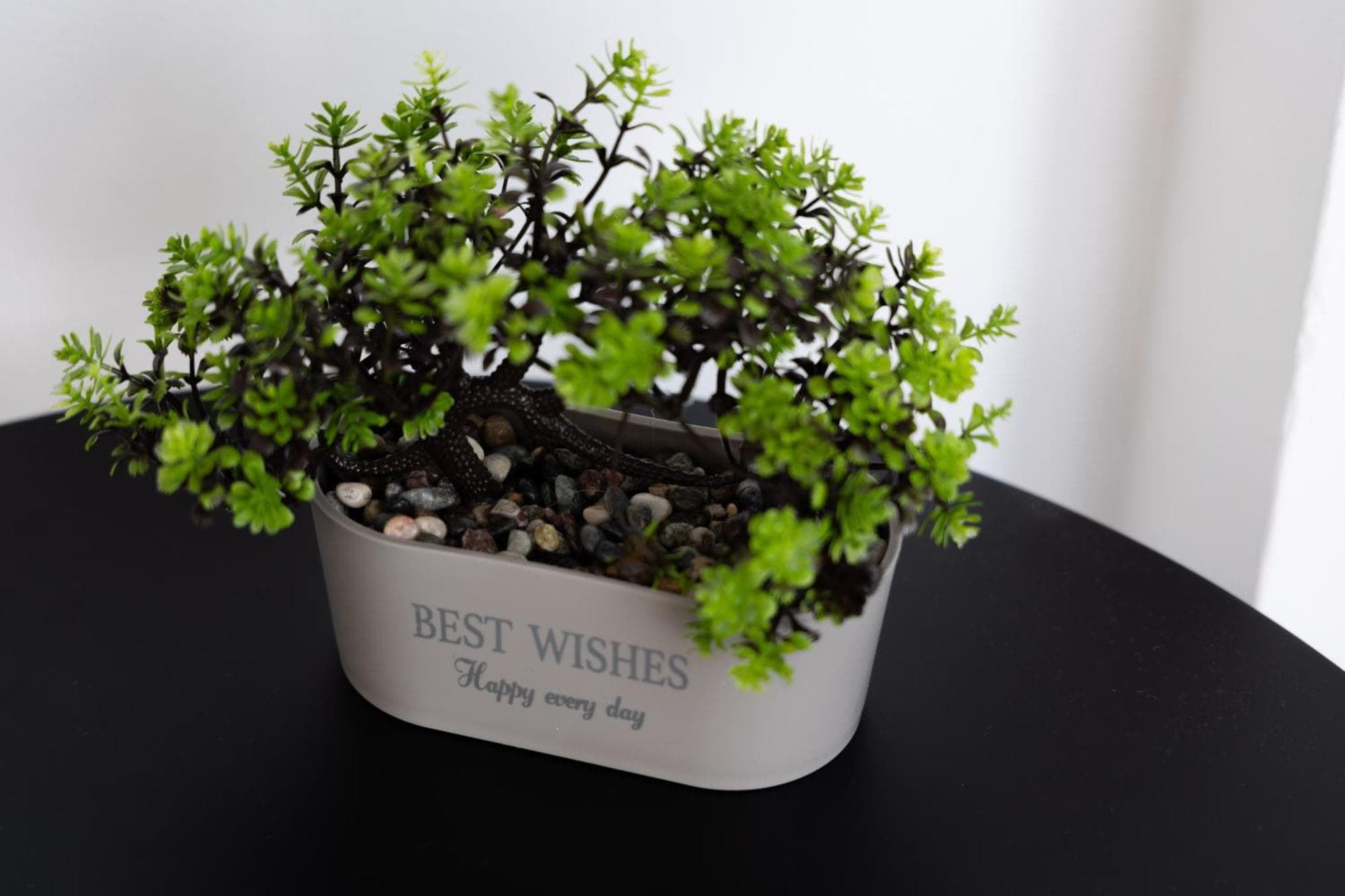 SKG City View Studio #2, 