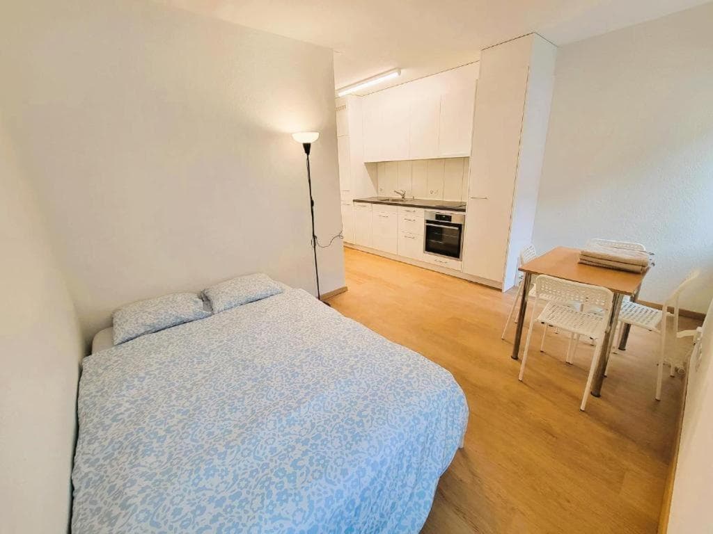 Zurich City Center Apartments next to Zurich HB Main Train Station LA - Self Checkin