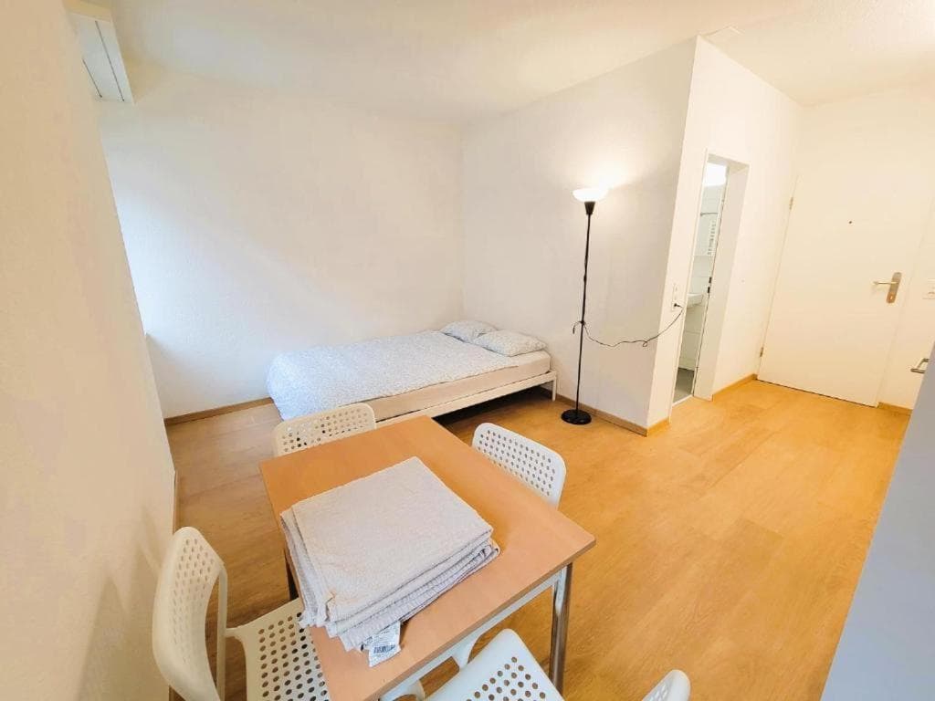 Zurich City Center Apartments next to Zurich HB Main Train Station LA - Self Checkin