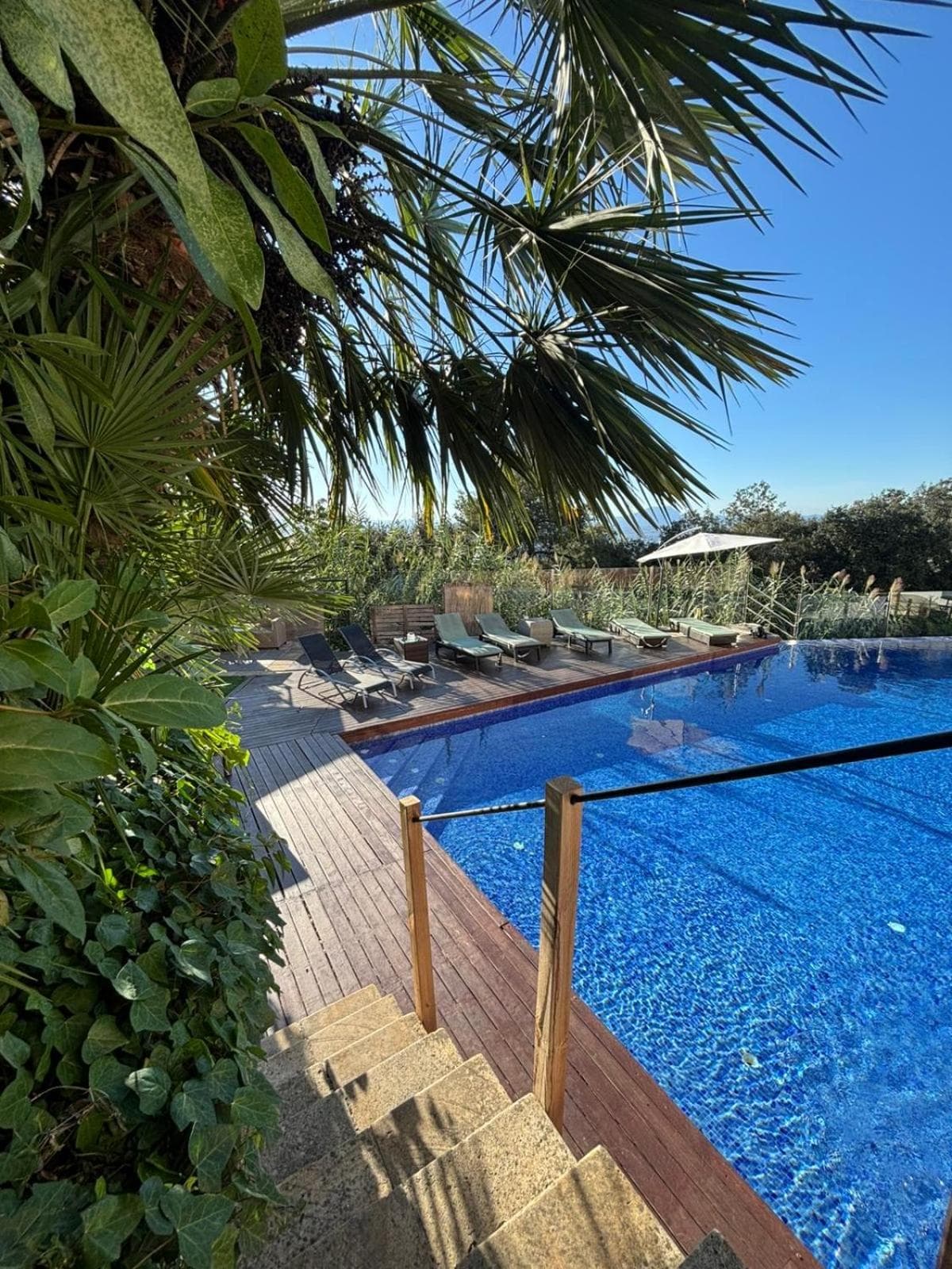 Spirit of Queen experience, 