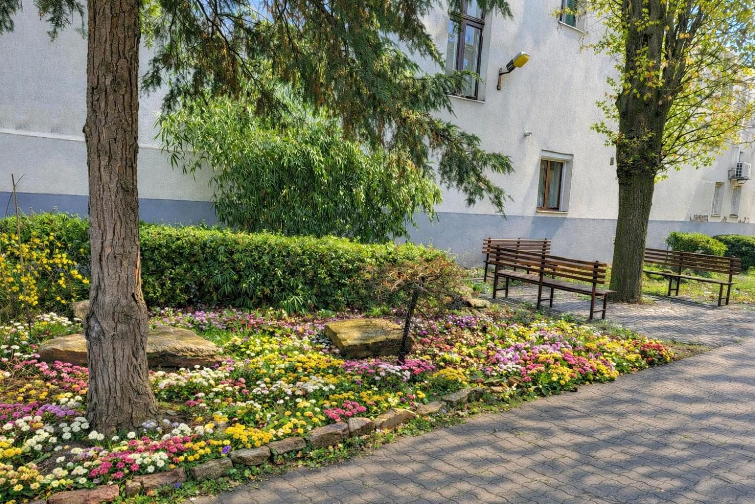 Jázmin Apartman