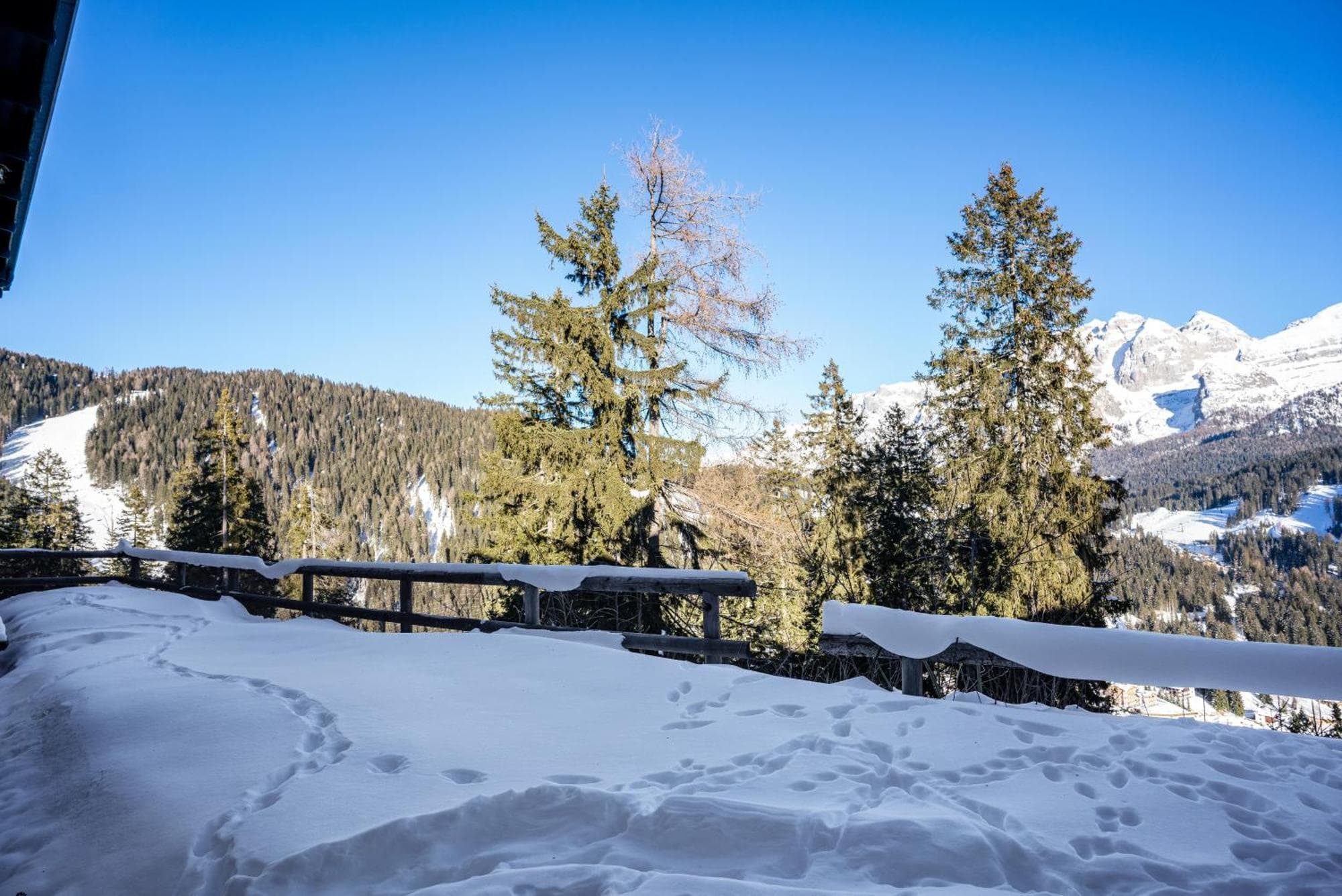 Patascoss - Madonna di Campiglio