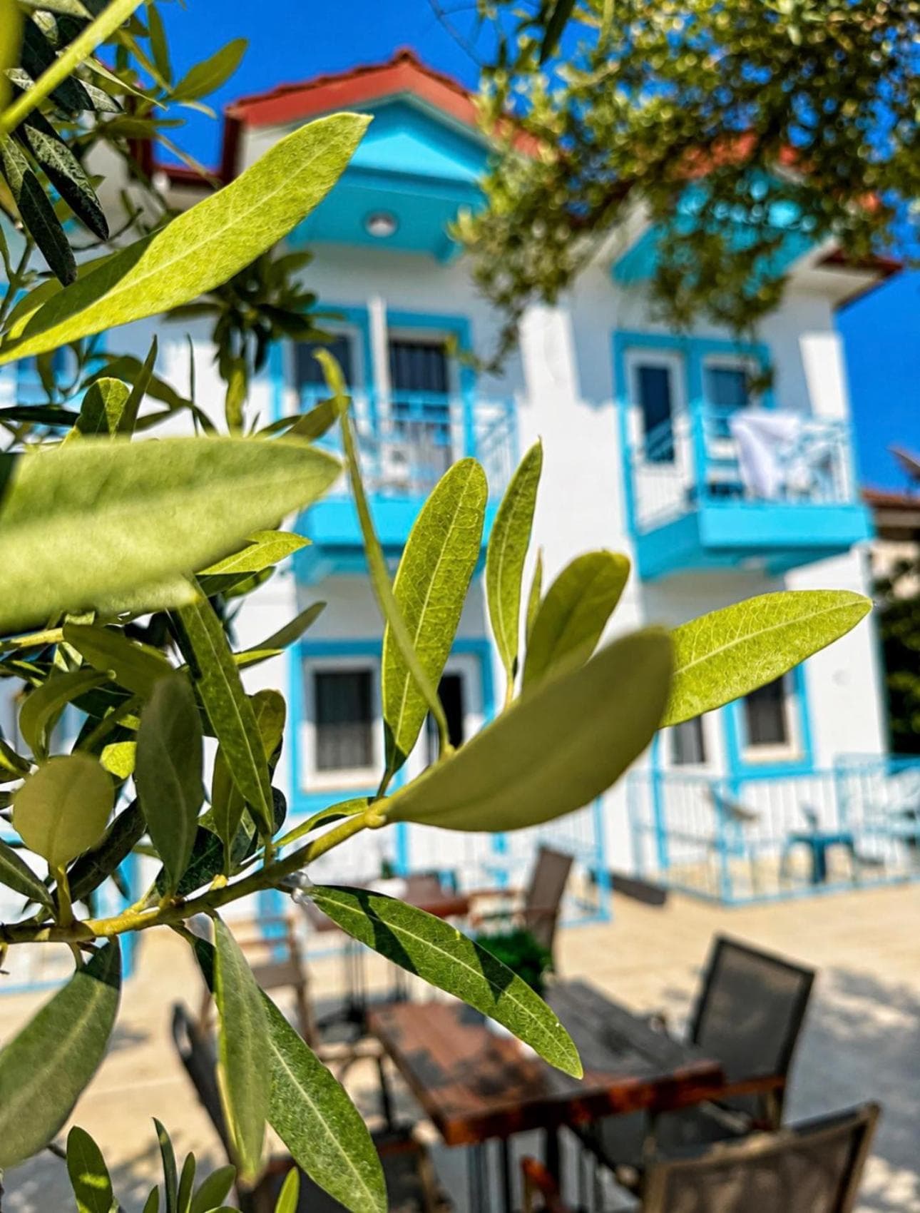 enjoy otel