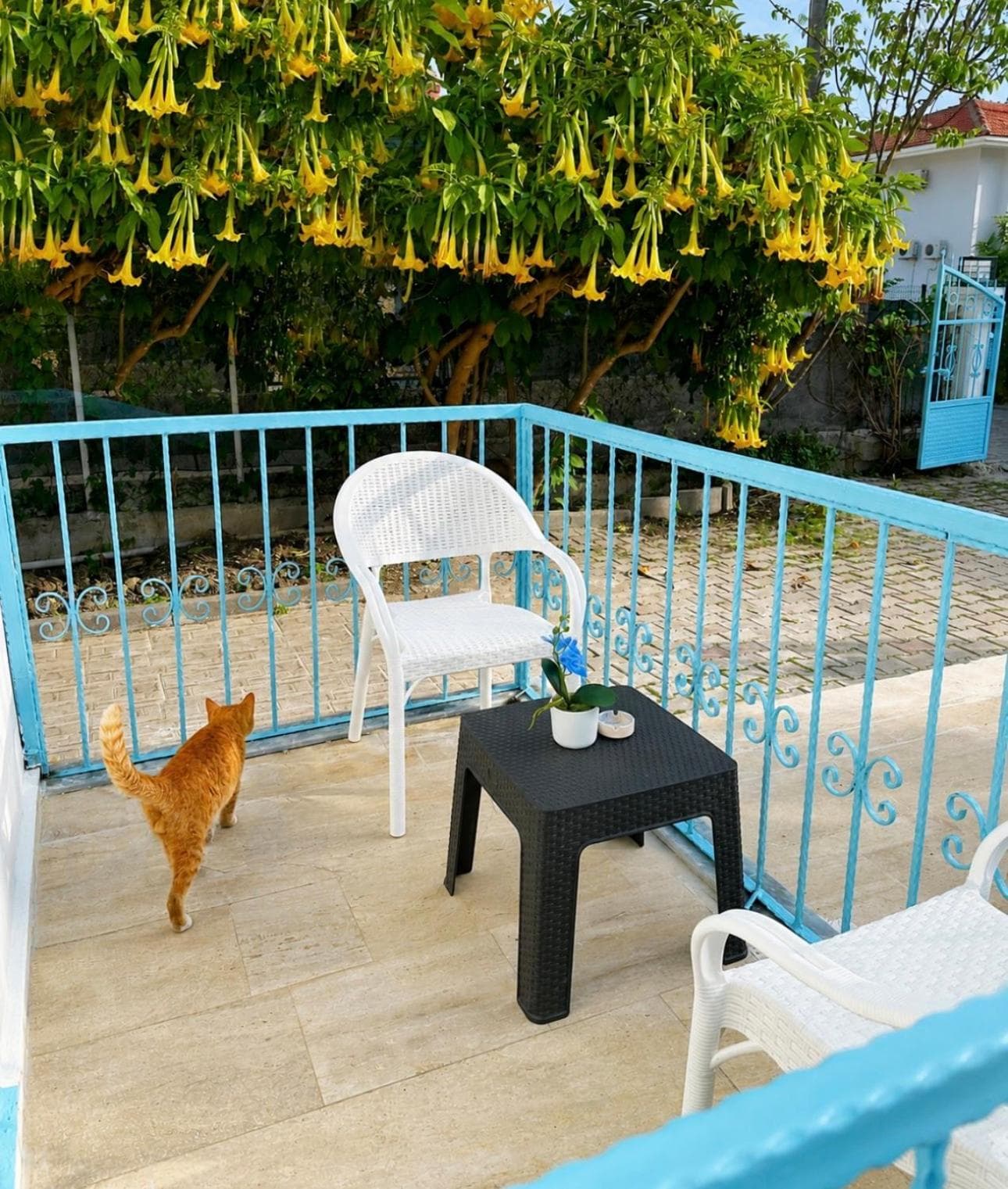 enjoy otel