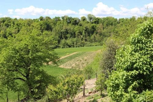 Agriturismo Stazione di Monta