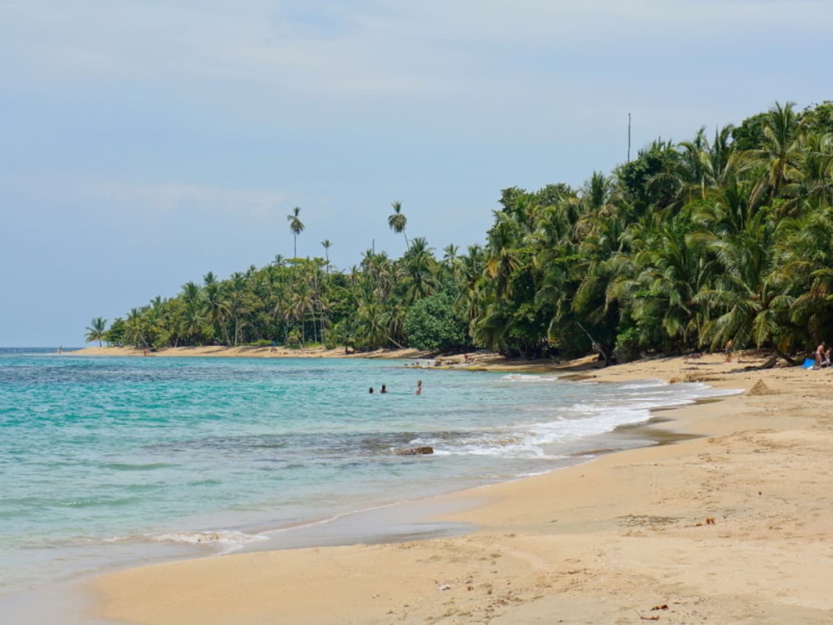 Volcanes, Naturaleza y Caribe