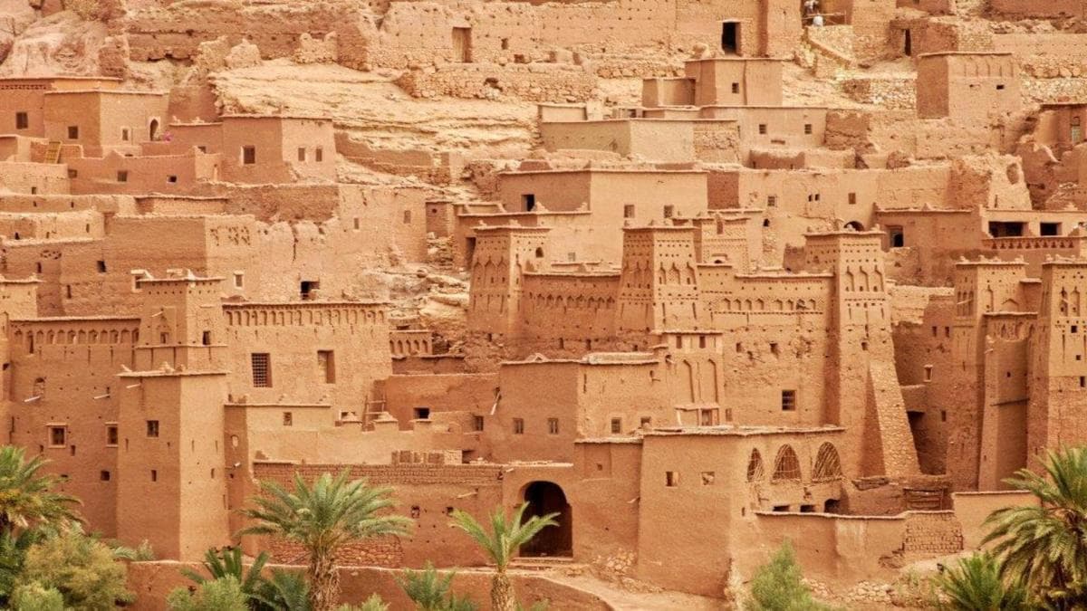 Le Sahara et le Sud, visite privée
