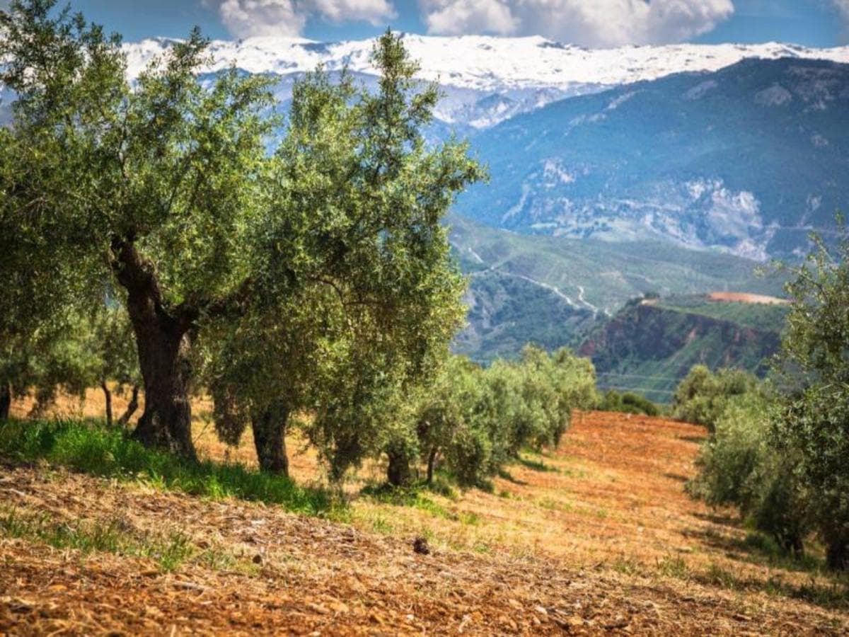 Madrid to Andalusia, Self-drive