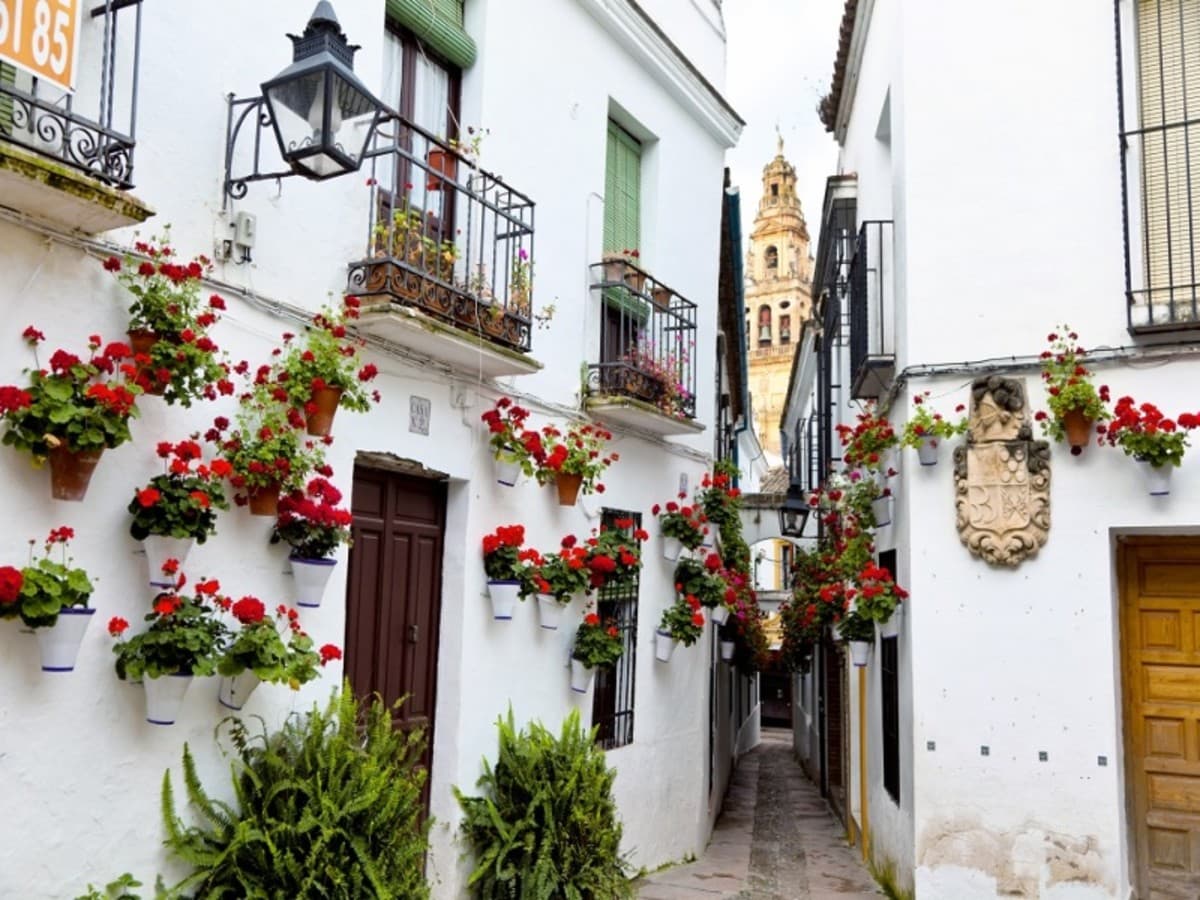 Il meglio dell'Andalusia, Self-drive
