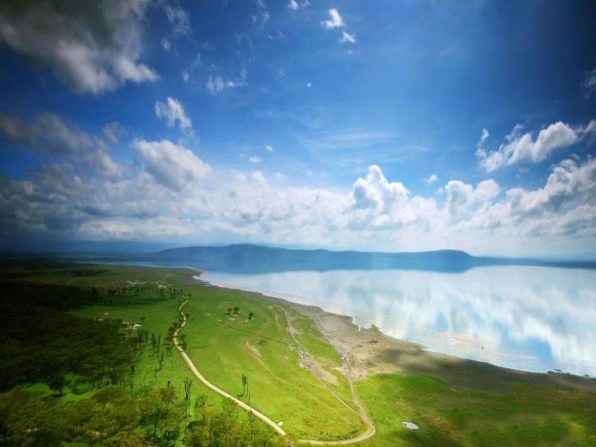 À travers la vallée du Rift - Zebra Plains