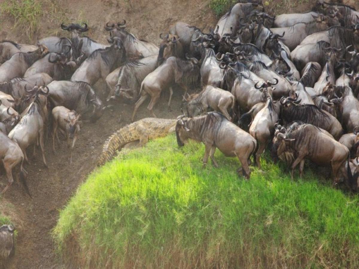 Through the Rift Valley, Serena Lodges - Private Tour