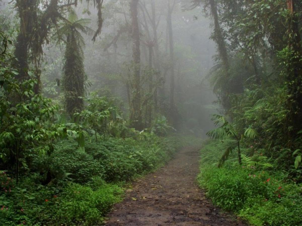 Amazing Costa Rica