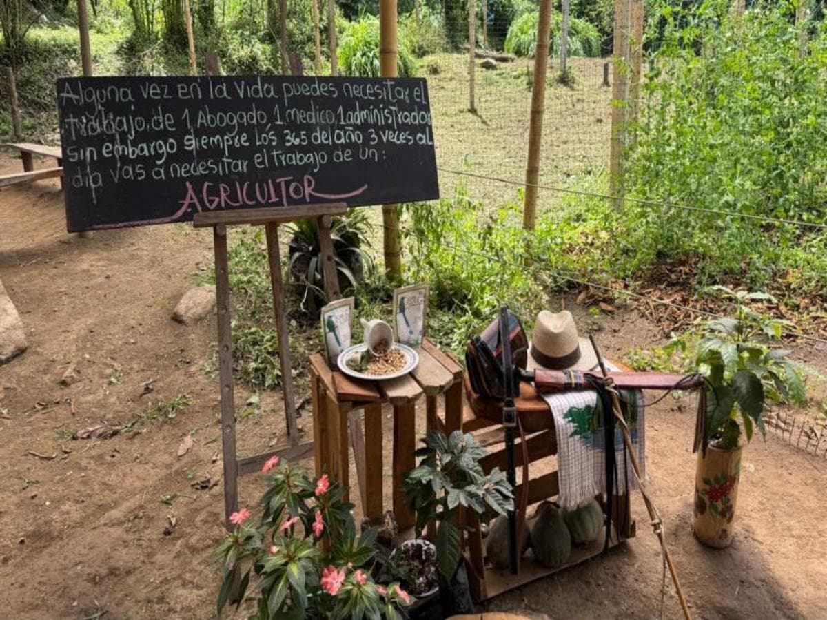 Experiencia cultural privada de 2 días en Medellín: de las tradiciones del café a los ritmos urbanos
