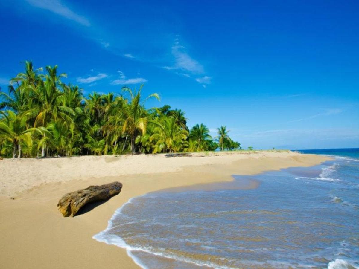 Puerto Viejo Beach, Short Break