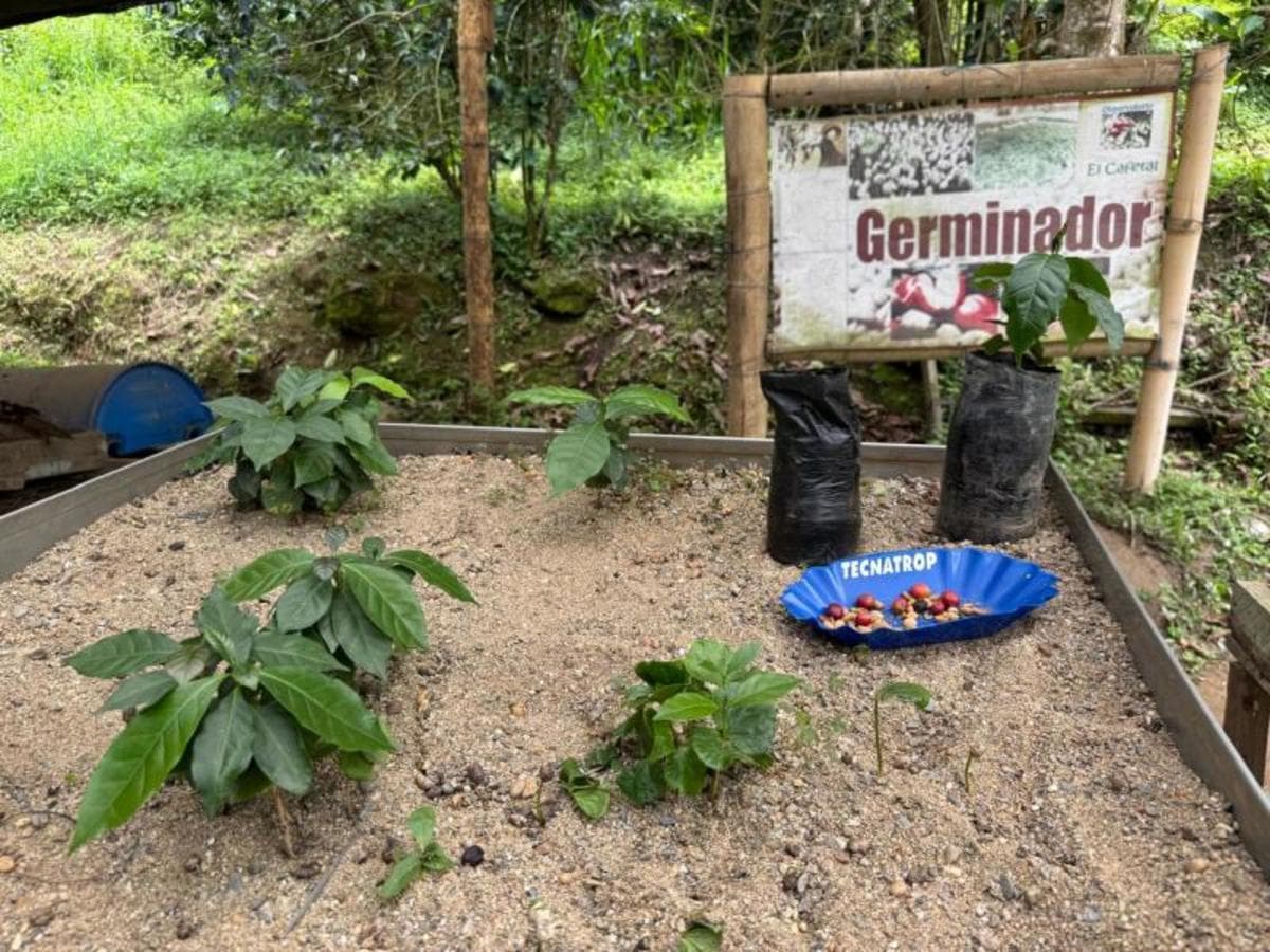 2-Day Private Medellín Cultural Experience: From Coffee Traditions to Urban Beats