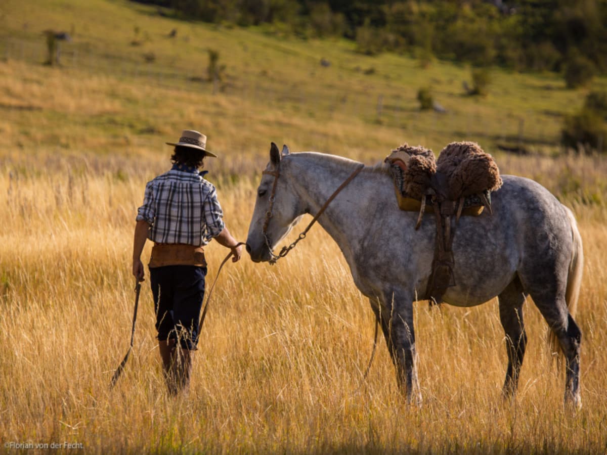 2-Day The Spirit of Patagonia: Ice Fields & Ranch Life
