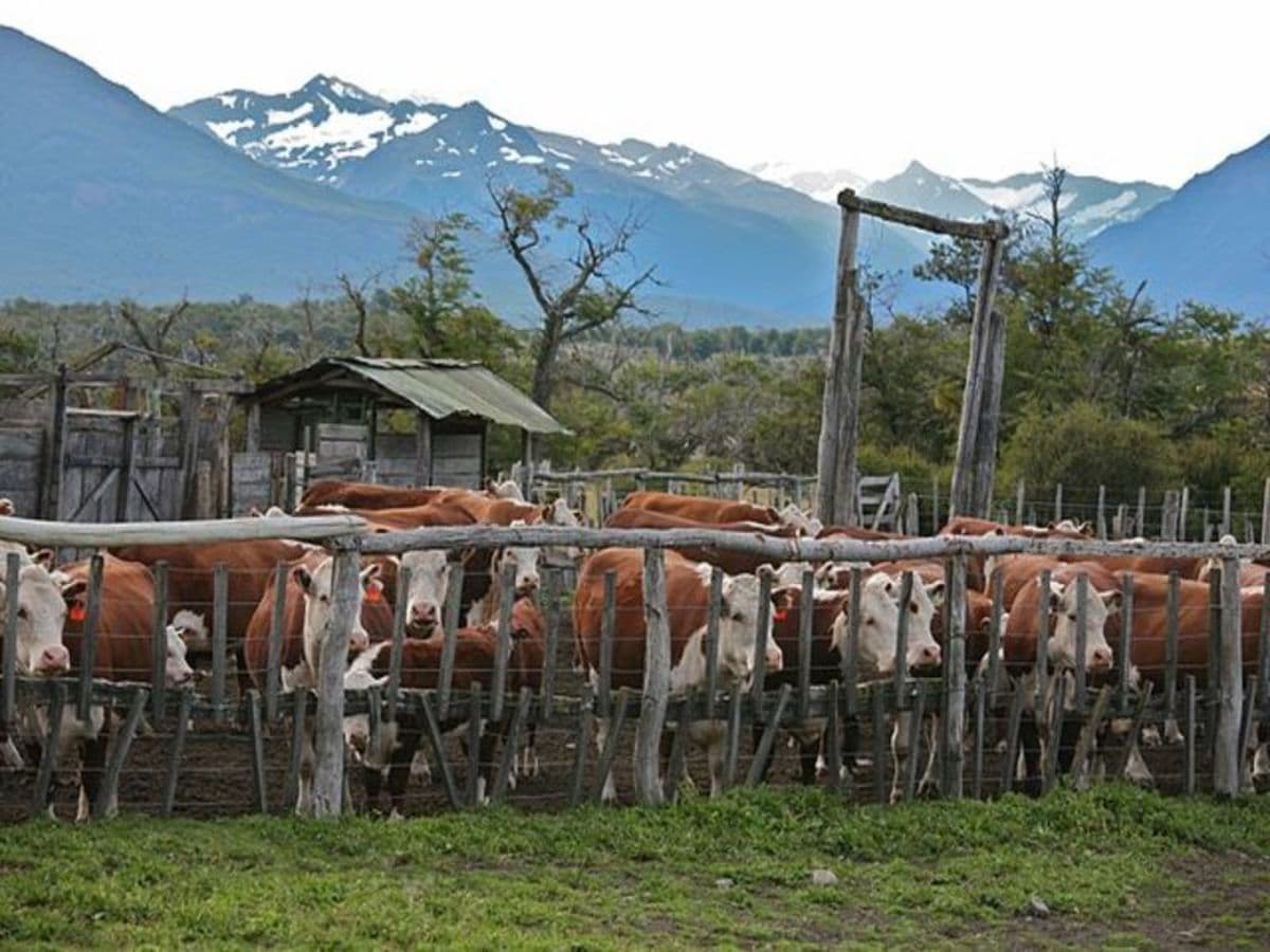 El Espíritu de la Patagonia de 2 días: Campos de hielo y vida en un rancho