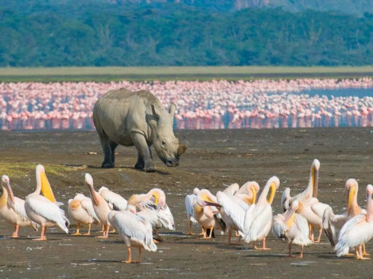 Through the Rift Valley, Serena Lodges - Private Tour