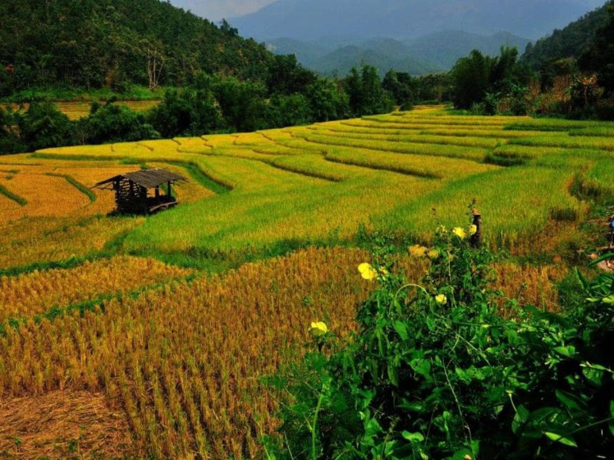 Lanzhou City Break, Private Tour