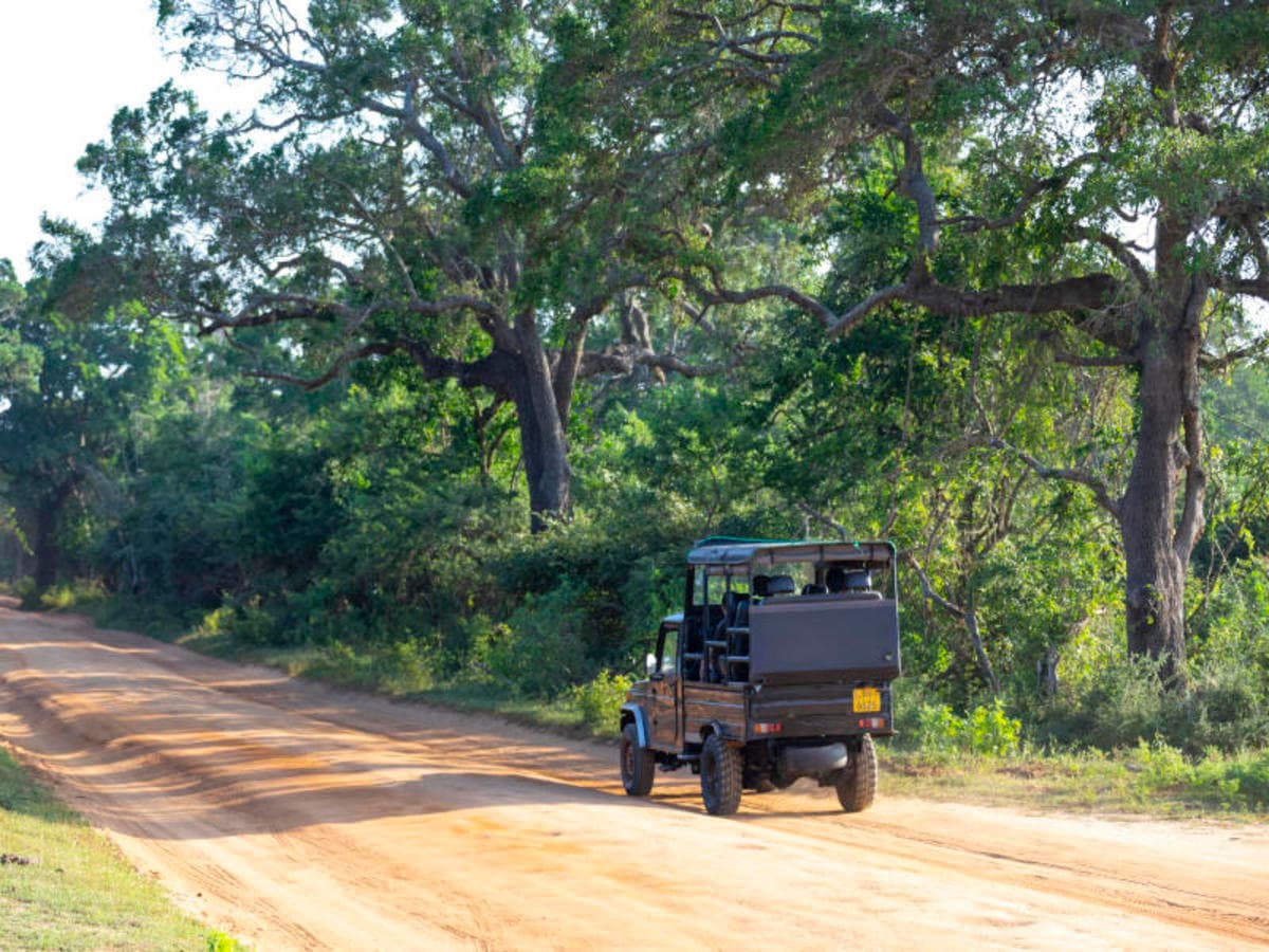 2-Day Galle to Yala Safari Adventure