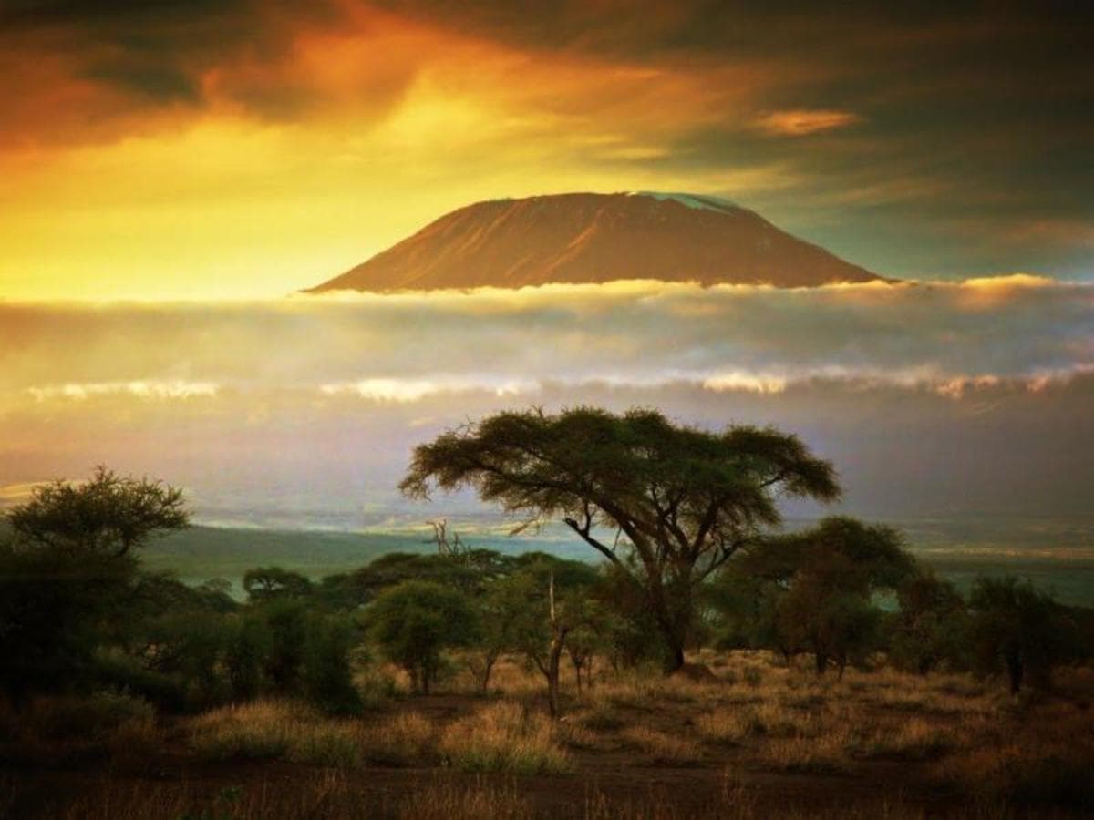 Kenya Classic, Serena Lodges - Private Tour