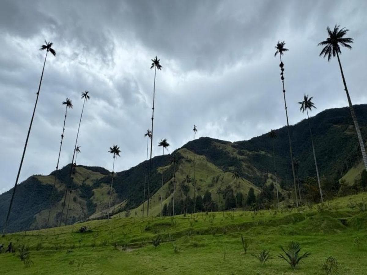 Los colores de Colombia, 12 días: Bogotá, Eje Cafetero, Medellín y Cartagena