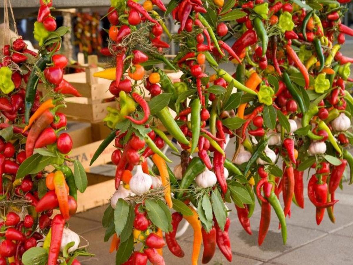 Große Rundreise durch Kroatien 8 Tage, Selbstfahrer