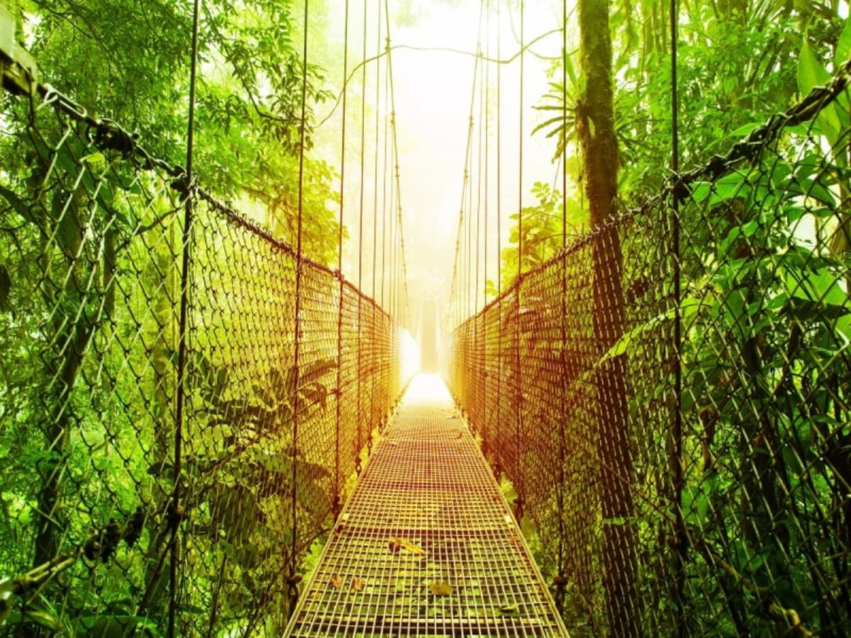 4-Day Arenal & Monteverde Essentials