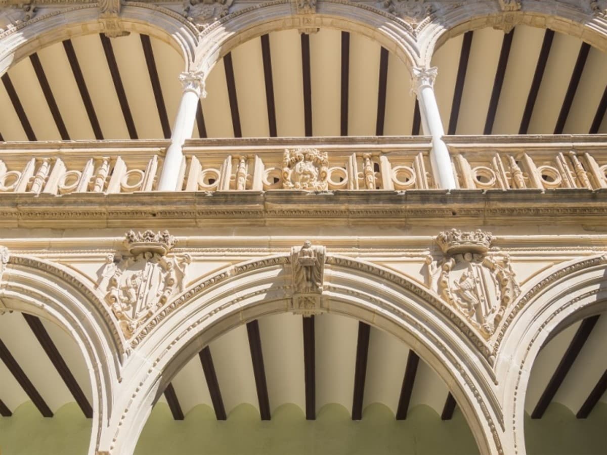 Costa Tropical y Naturaleza, Conducción por cuenta propia