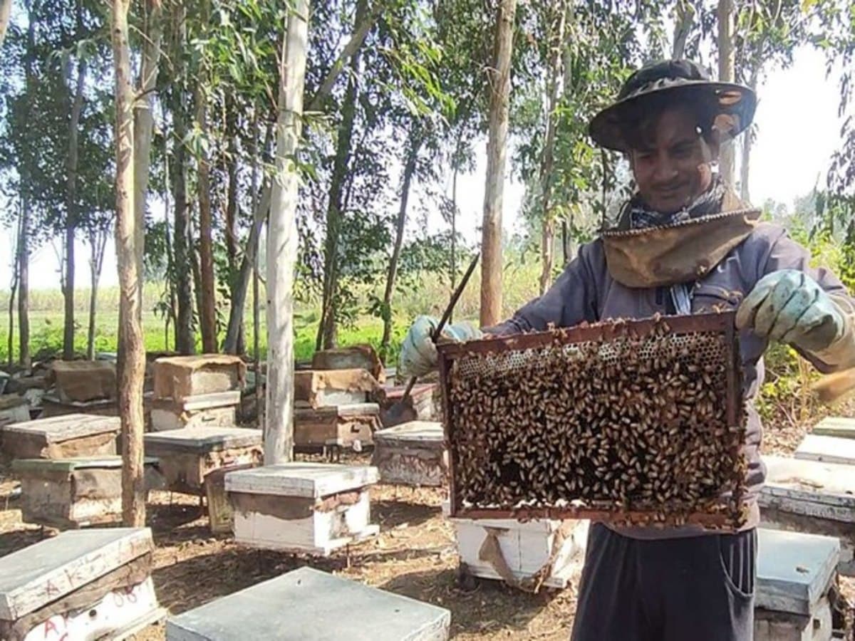 2-Day Private Bogotá Experience: Ancient Traditions, Living Communities & Biodiversity