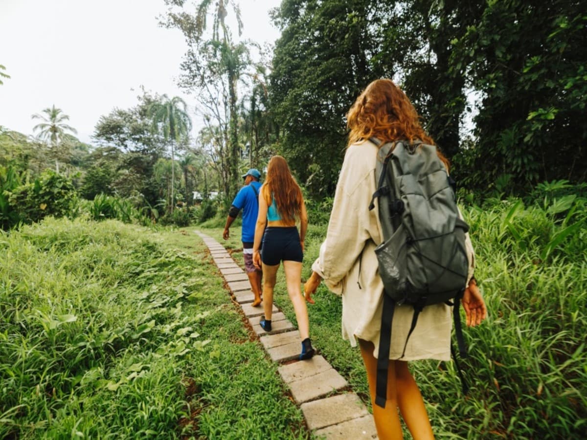Panamá y Costa Rica: Costas Caribeñas, Selvas Tropicales y Volcanes (Varios países)