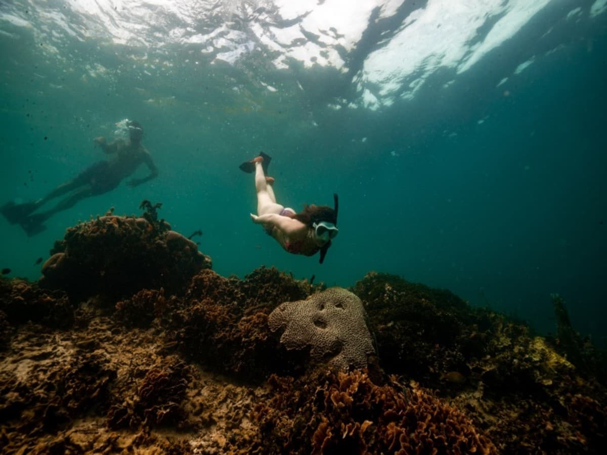 Panamá y Costa Rica: Costas Caribeñas, Selvas Tropicales y Volcanes (Varios países)
