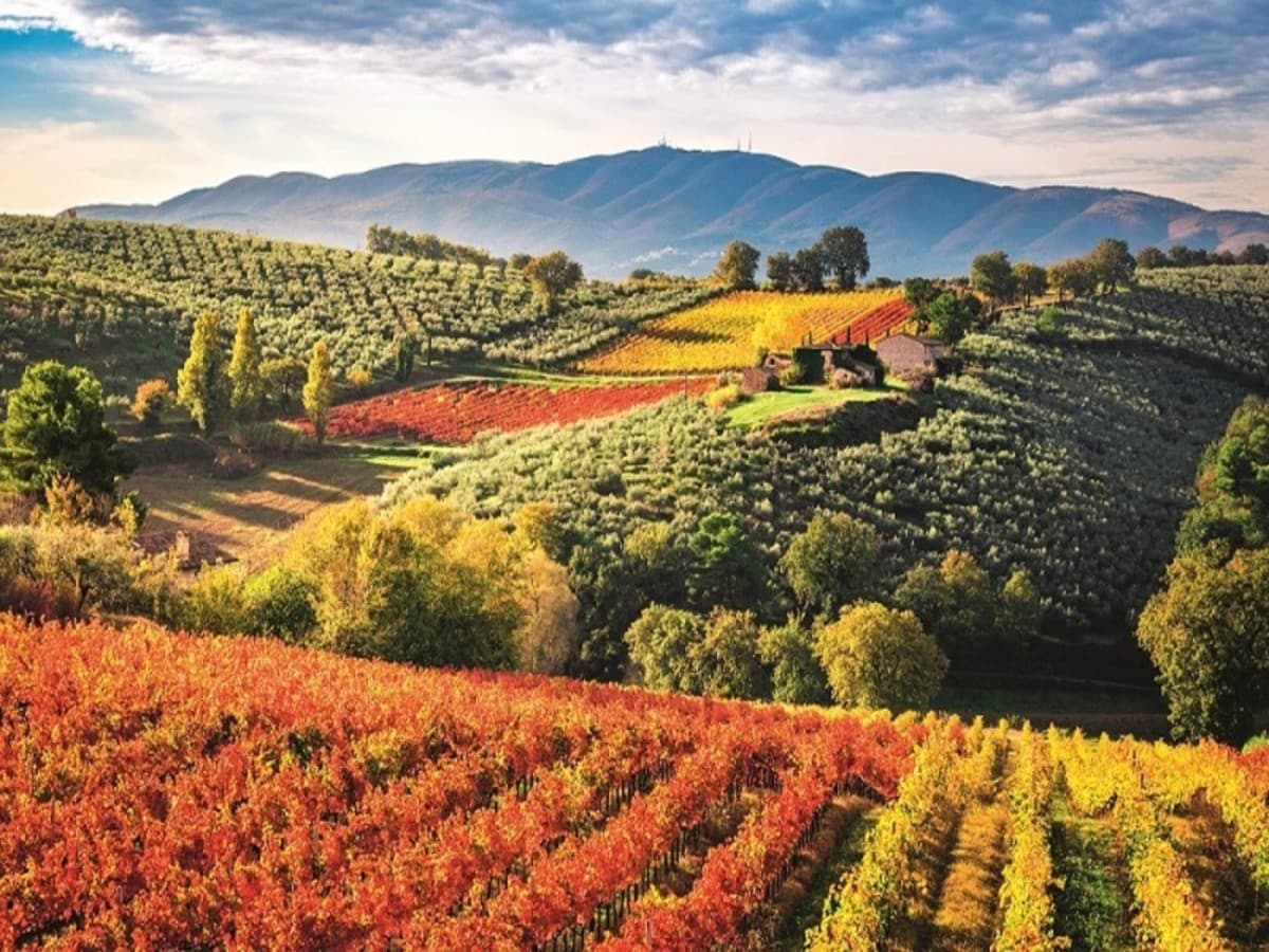 Borghi collinari dell'Umbria, Self-Drive
