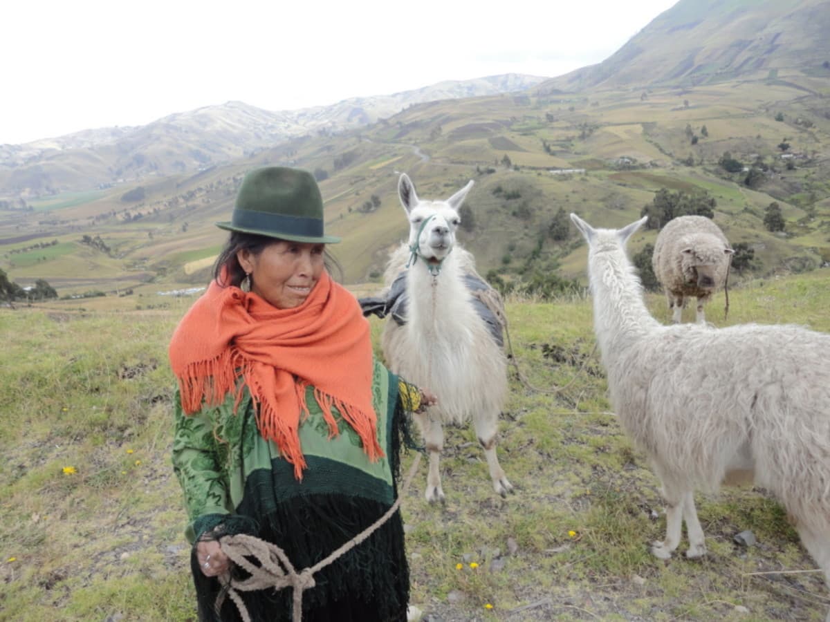 5 jours à Quito et ses environs : sources chaudes de Cotopaxi, Quilotoa et Baños, visite privée, guide francophone