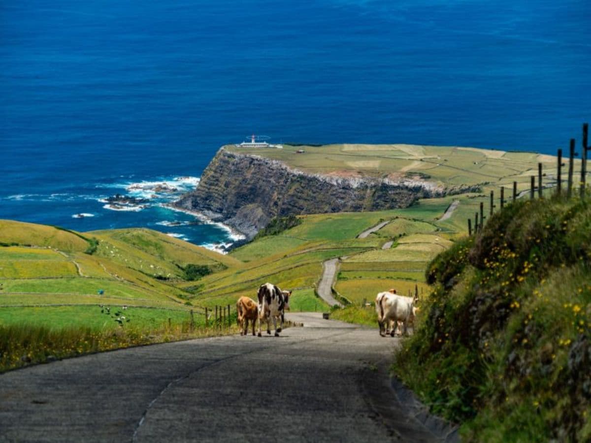 3-Day Flores Escape: Europe’s Westernmost Island