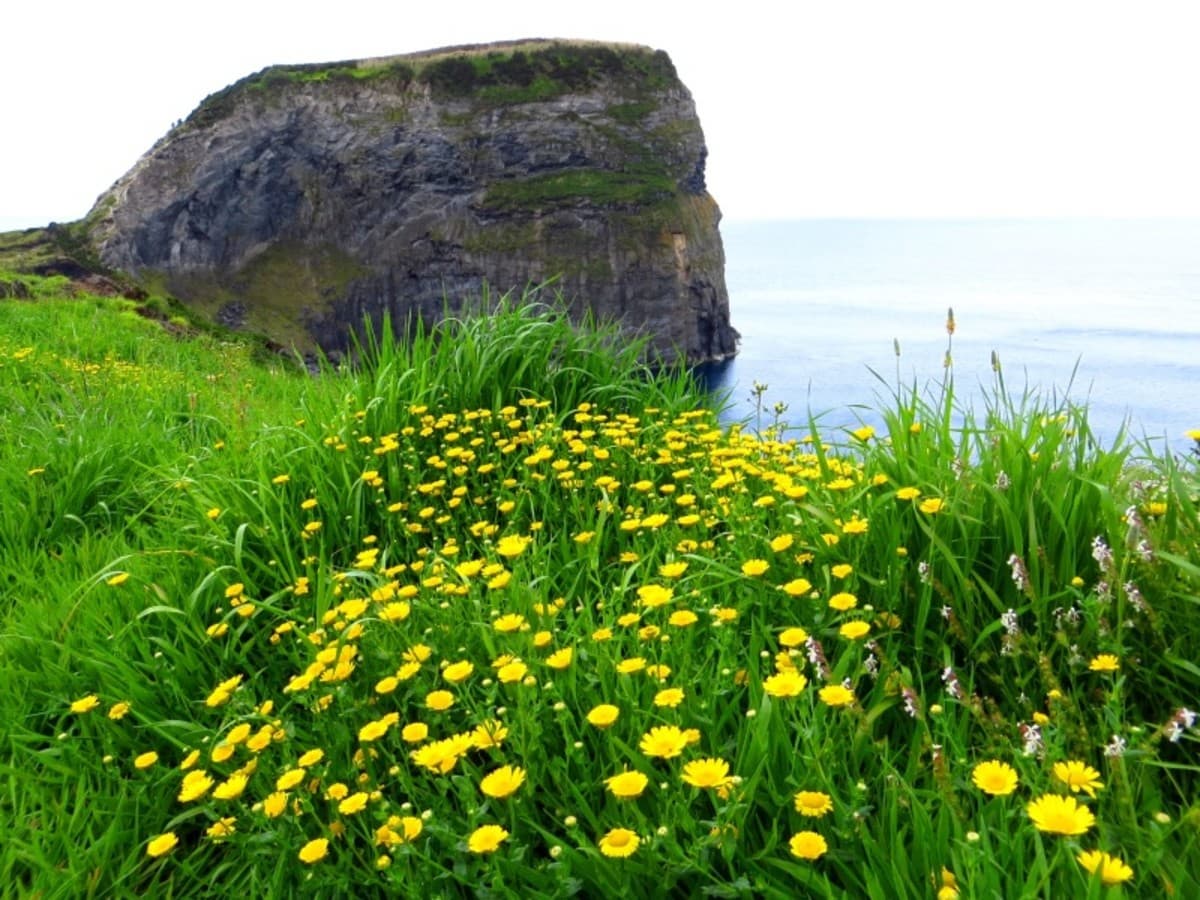 L'essence de Faial en 3 jours : volcans, cratères et horizons atlantiques