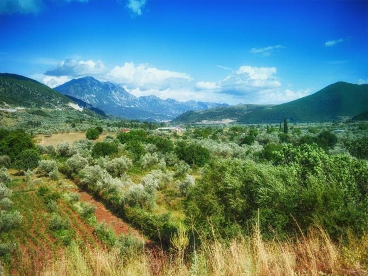 Grèce classique, visite privée