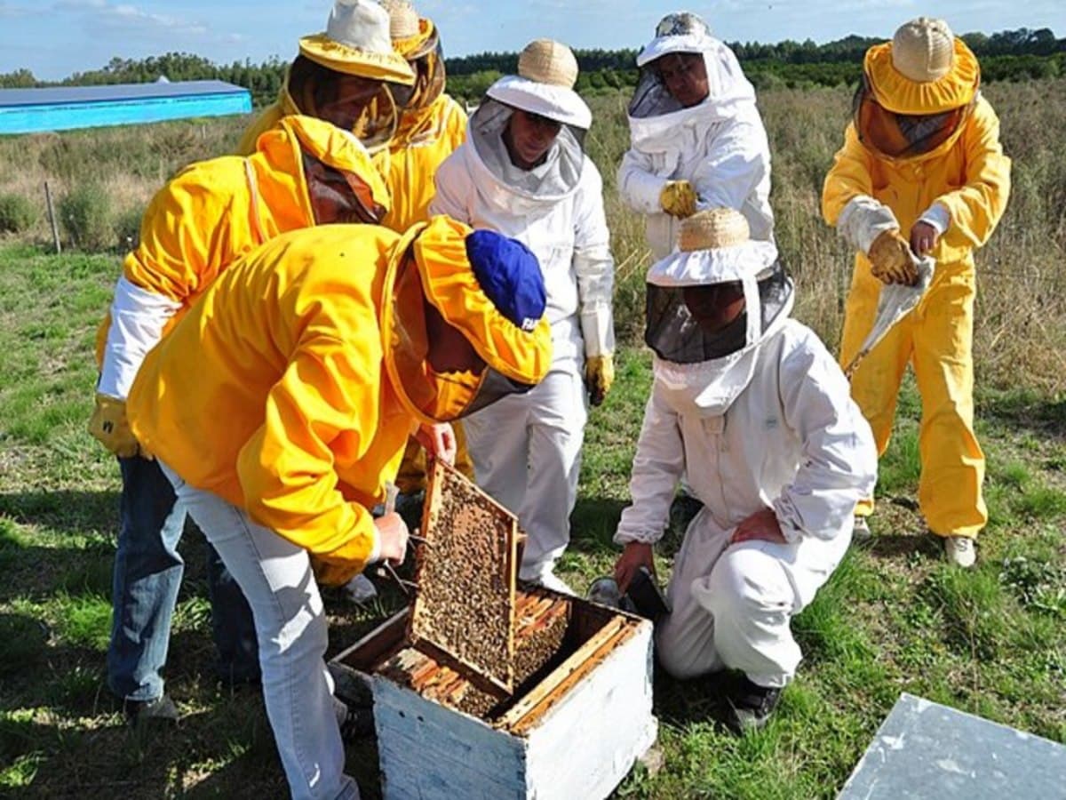 2-Day Private Bogotá Experience: Ancient Traditions, Living Communities & Biodiversity