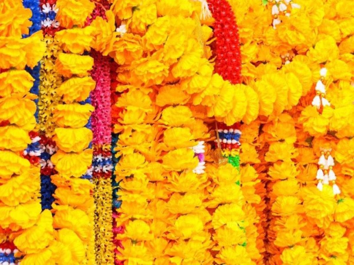 Golden Triangle with Kerala, Supersaver