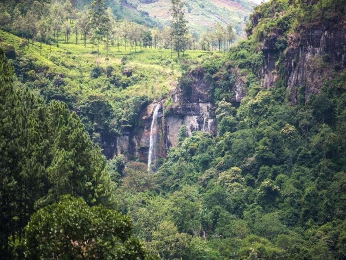 All in One Sri Lanka