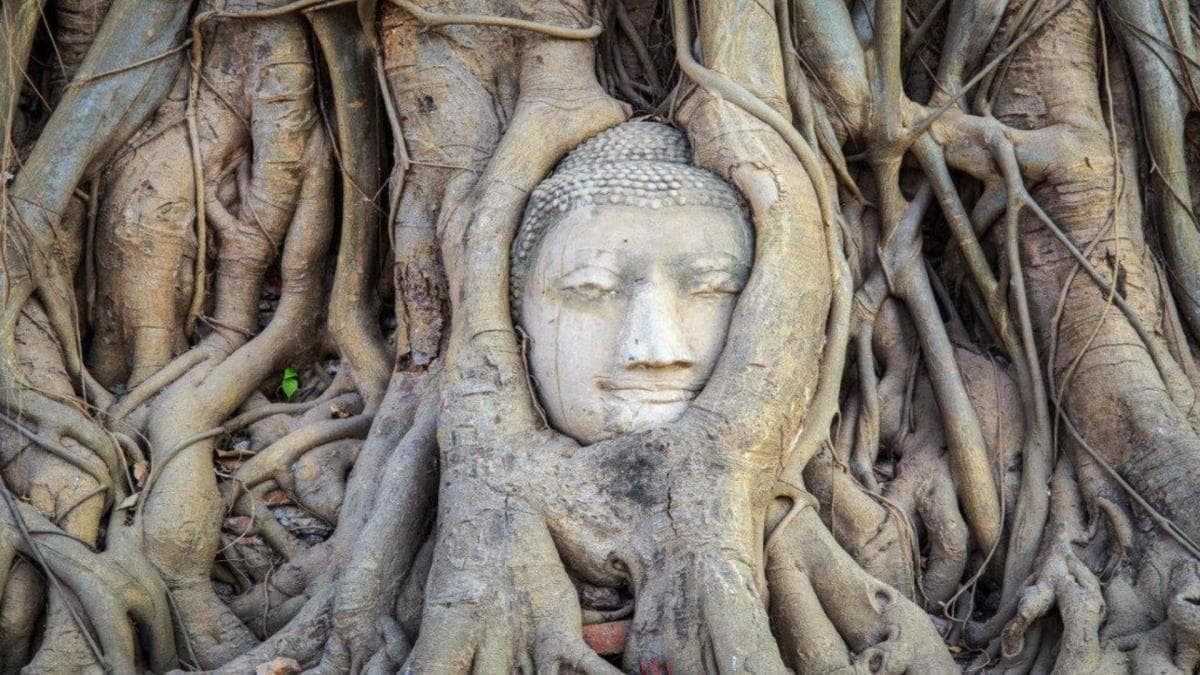 Thailand Grand Tour & Kambodscha-Paket, Kleingruppentour (andere Sprachen)