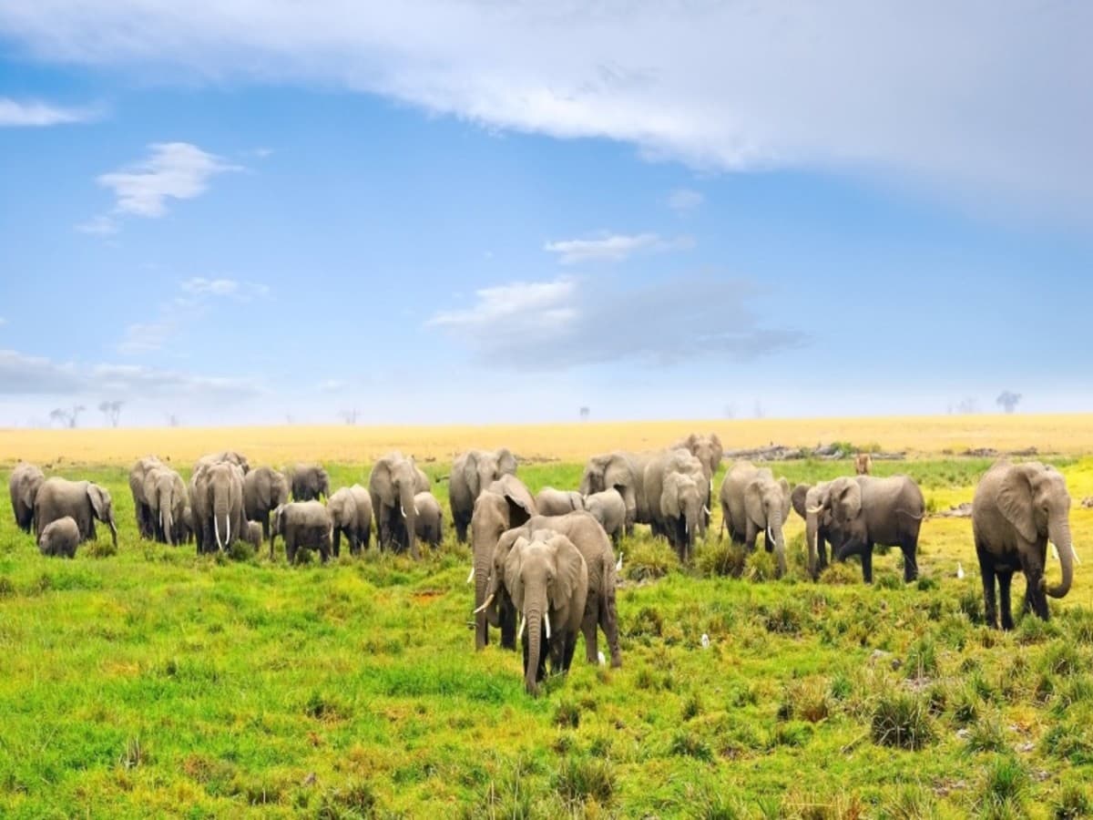 Kenya Classic, Sentrim Lodges - Private Tour