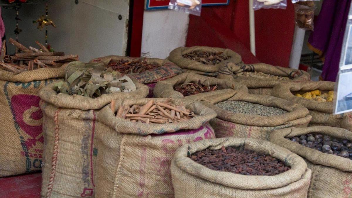 Golden Triangle with Kerala, Supersaver